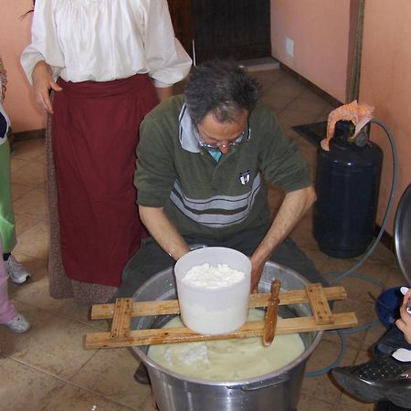 Agriturismo Sa Perda Marcada 아르버스 외부 사진