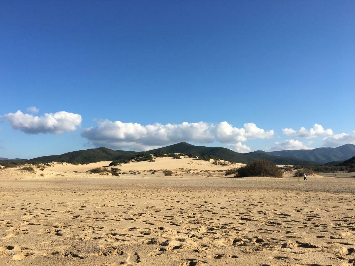 Agriturismo Sa Perda Marcada 아르버스 외부 사진