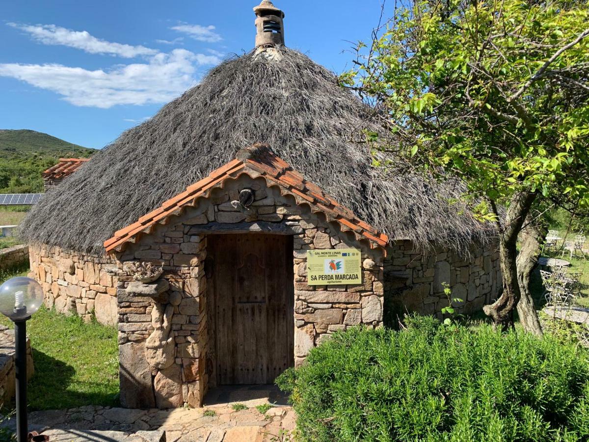 Agriturismo Sa Perda Marcada 아르버스 외부 사진